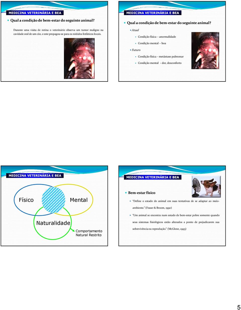 Atual Condição física anormalidade Condiçãomental boa Futuro Condição física - metástase pulmonar Condição mental - dor, desconforto Físico Mental Bem-estarestar físico Define o estado do