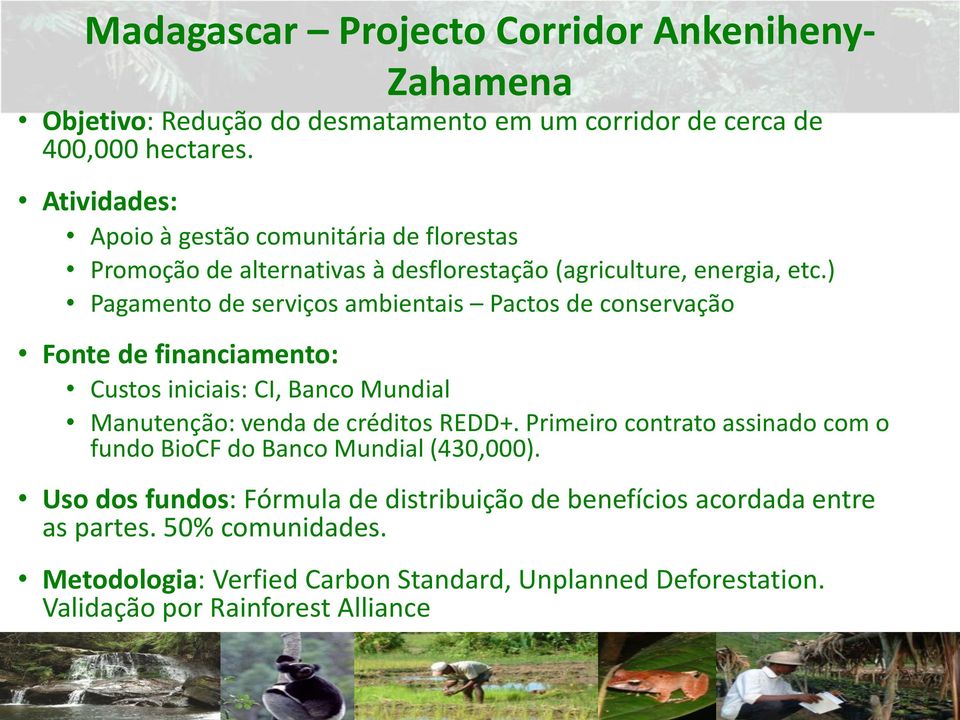 ) Pagamento de serviços ambientais Pactos de conservação Fonte de financiamento: Custos iniciais: CI, Banco Mundial Manutenção: venda de créditos REDD+.