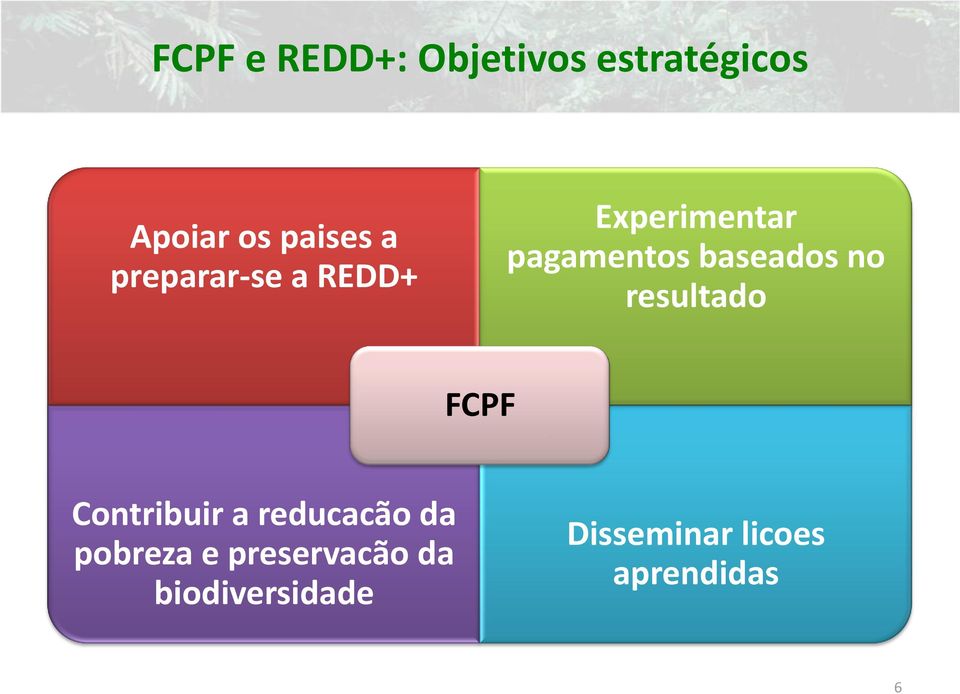 resultado FCPF Contribuir a reducacão da pobreza e