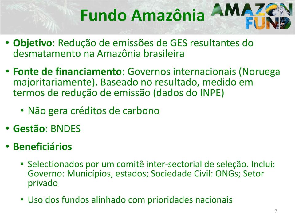 Baseado no resultado, medido em termos de redução de emissão (dados do INPE) Não gera créditos de carbono Gestão: BNDES