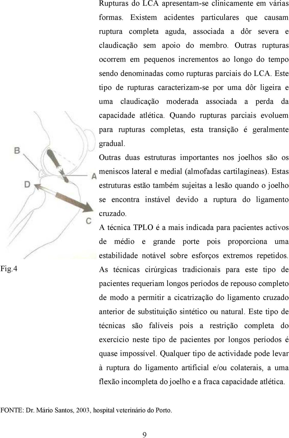 Este tipo de rupturas caracterizam-se por uma dôr ligeira e uma claudicação moderada associada a perda da capacidade atlética.