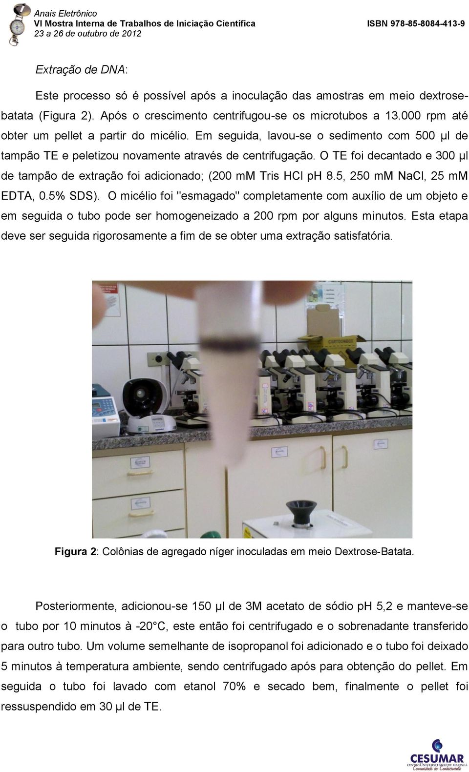 O TE foi decantado e 300 µl de tampão de extração foi adicionado; (200 mm Tris HCl ph 8.5, 250 mm NaCl, 25 mm EDTA, 0.5% SDS).