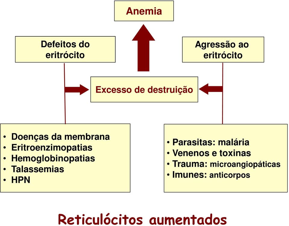 Hemoglobinopatias Talassemias HPN Parasitas: malária Venenos e