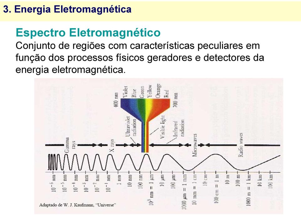 características peculiares em função dos