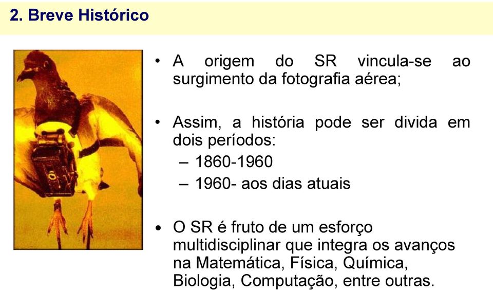 aos dias atuais O SR é fruto de um esforço multidisciplinar que integra os