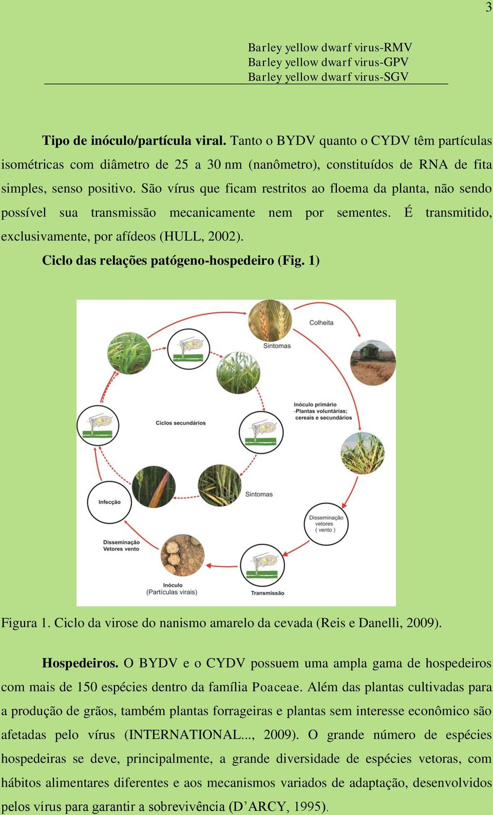 São vírus que ficam restritos ao floema da planta, não sendo possível sua transmissão mecanicamente nem por sementes. É transmitido, exclusivamente, por afídeos (HULL, 2002).