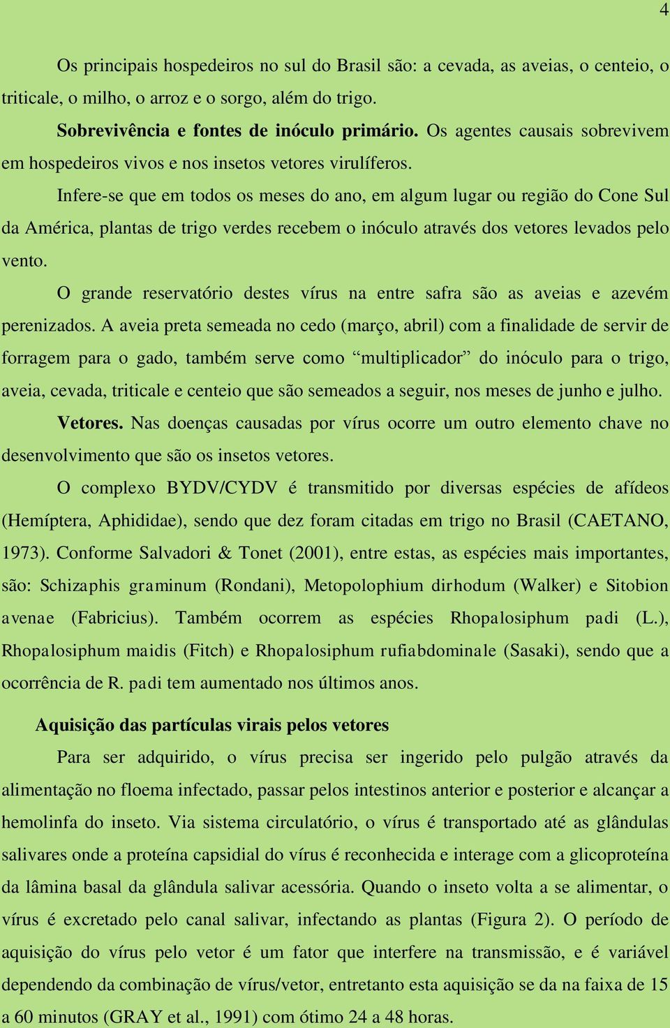 Infere-se que em todos os meses do ano, em algum lugar ou região do Cone Sul da América, plantas de trigo verdes recebem o inóculo através dos vetores levados pelo vento.