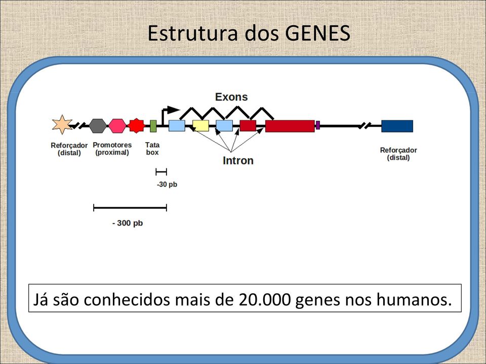 conhecidos mais