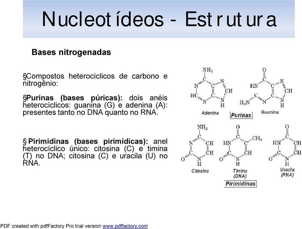 eadenina (A): presentestanto no DNAquanto no RNA.