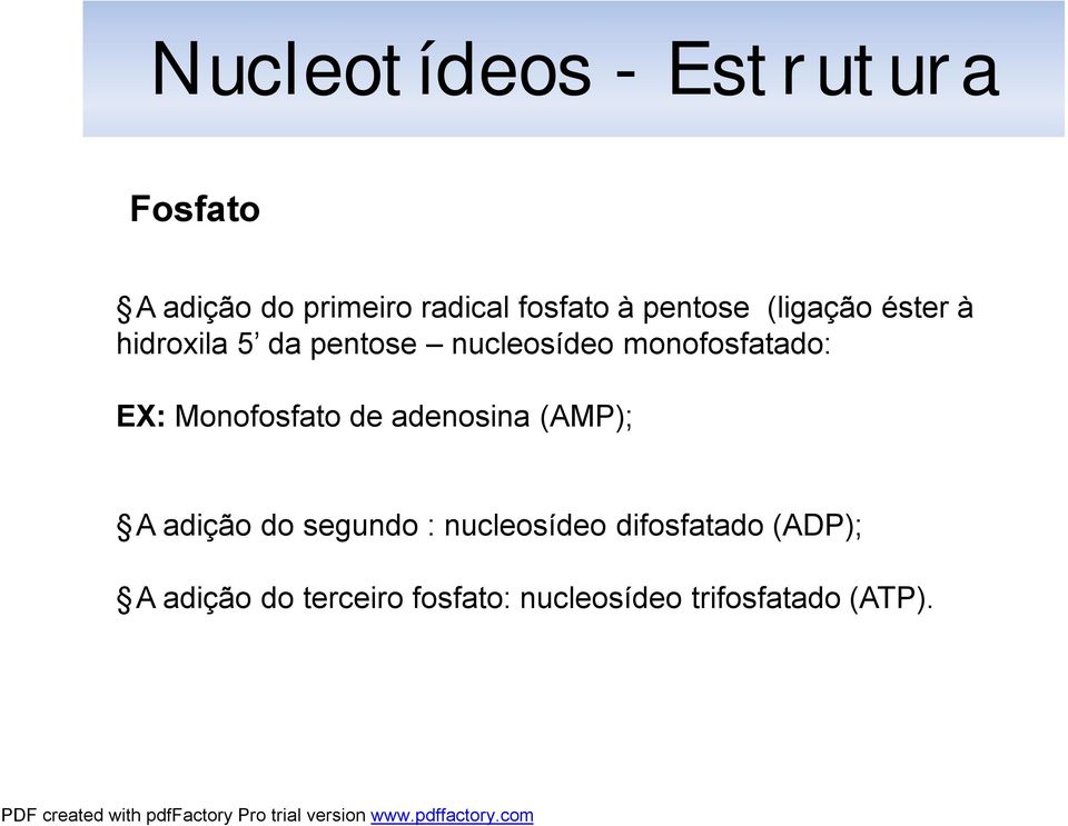 EX: Monofosfato de adenosina (AMP); A adição do segundo : nucleosídeo