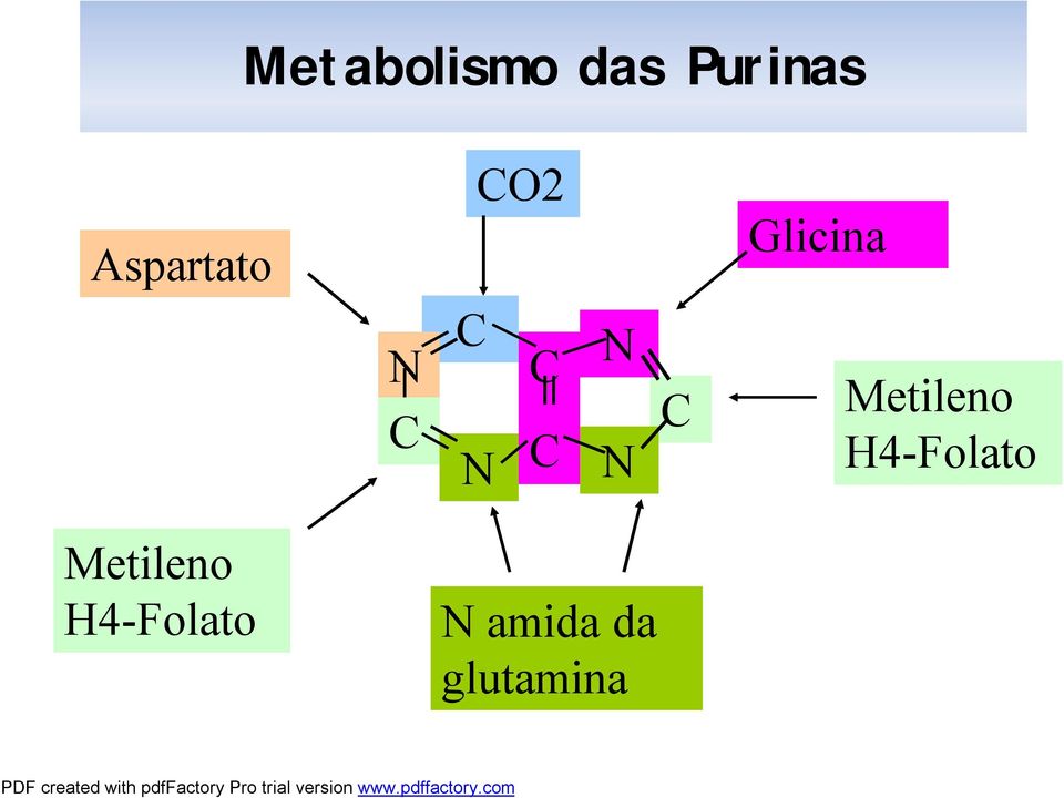 C C N N C Metileno H4-Folato