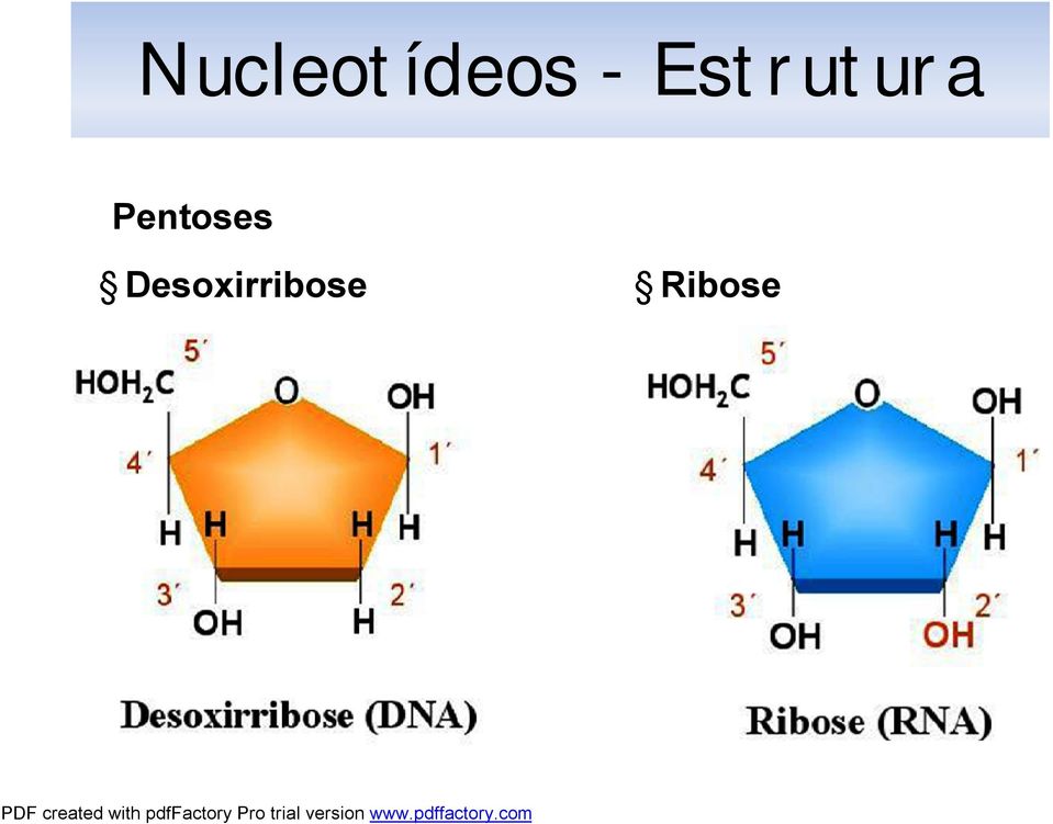 Pentoses