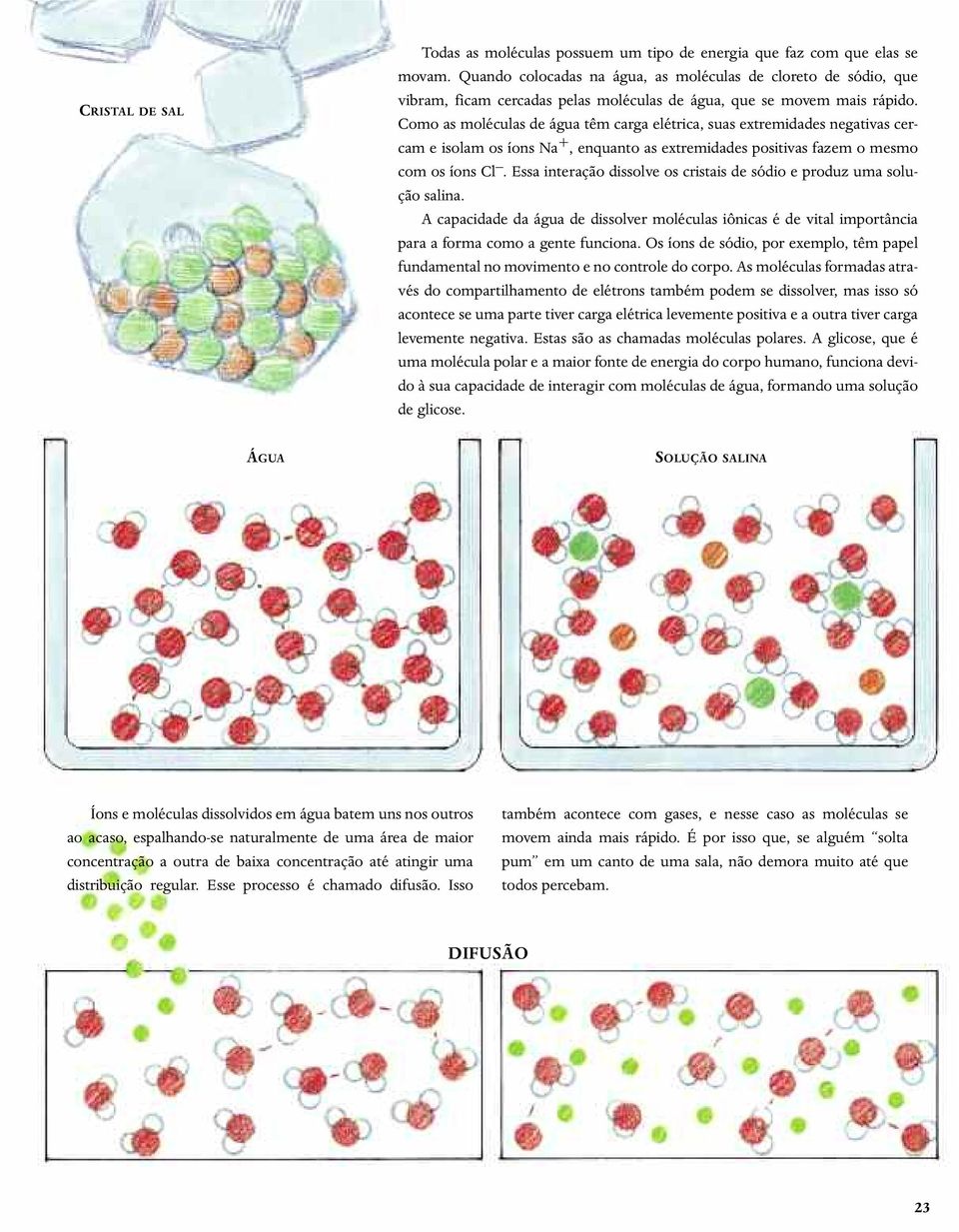 Como as moléculas de água têm carga elétrica, suas extremidades negativas cercam e isolam os íons Na +, enquanto as extremidades positivas fazem o mesmo com os íons Cl.