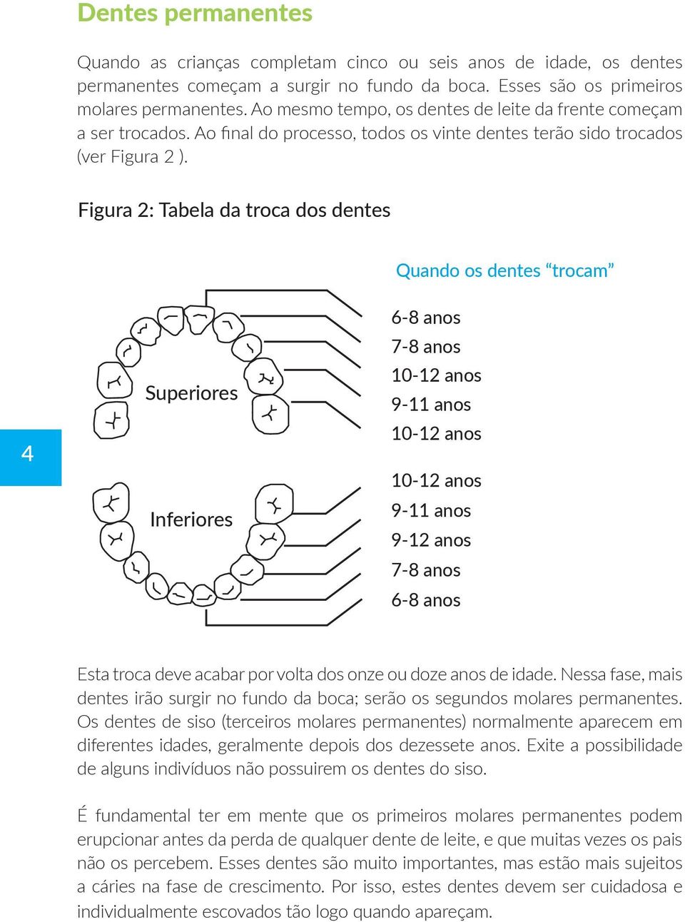 Figura 2: Tabela da troca dos dentes Quando os dentes trocam 4 Superiores Inferiores 6-8 anos 7-8 anos 10-12 anos 9-11 anos 10-12 anos 10-12 anos 9-11 anos 9-12 anos 7-8 anos 6-8 anos Esta troca deve