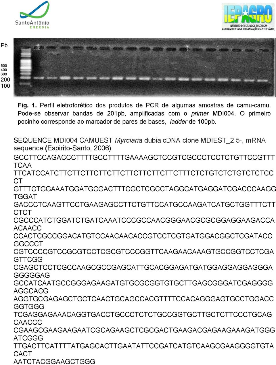 SEQUENCE MDI004 CAMUEST Myrciaria dubia cdna clone MDIEST_2 5-, mrna sequence (Espirito-Santo, 2006) GCCTTCCAGACCCTTTTGCCTTTTGAAAAGCTCCGTCGCCCTCCTCTGTTCCGTTT TCAA