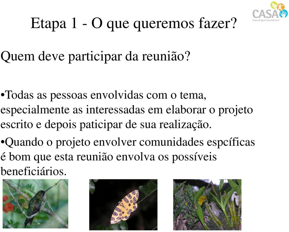 elaborar o projeto escrito e depois paticipar de sua realização.