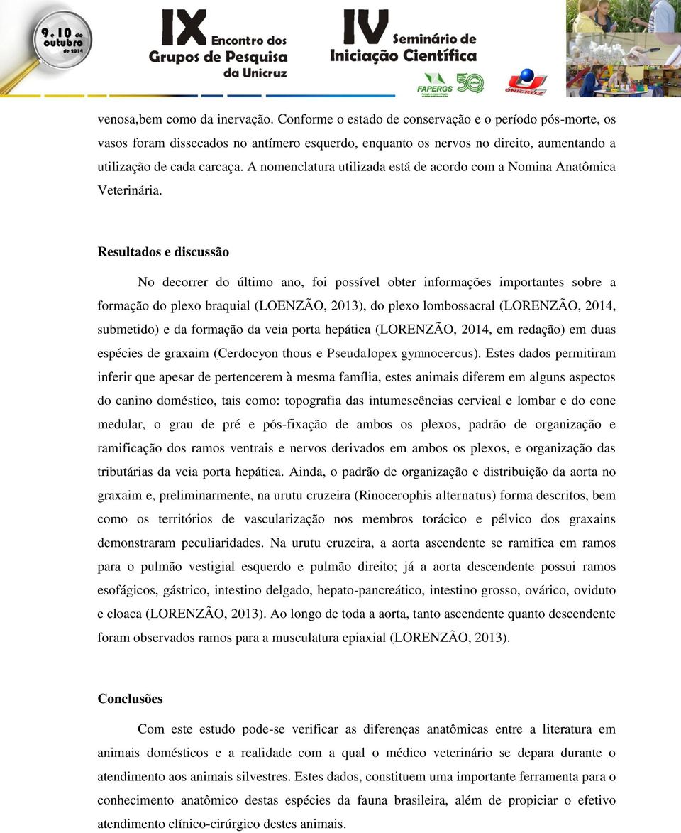 A nomenclatura utilizada está de acordo com a Nomina Anatômica Veterinária.