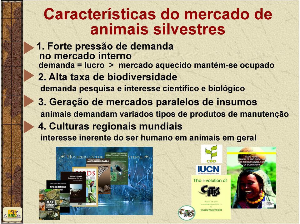 Alta taxa de biodiversidade demanda pesquisa e interesse científico e biológico 3.