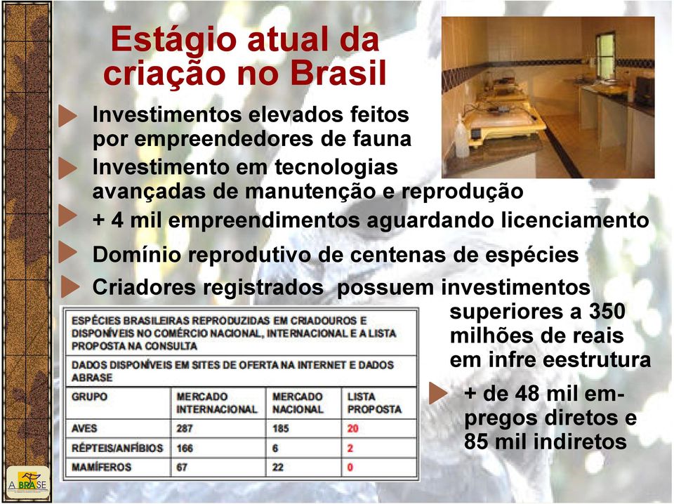 aguardando licenciamento Domínio reprodutivo de centenas de espécies Criadores registrados possuem