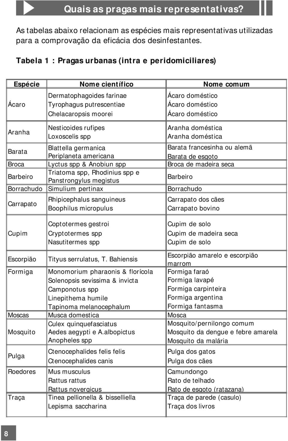 Loxoscelis spp Ácaro doméstico Ácaro doméstico Ácaro doméstico Aranha doméstica Aranha doméstica Barata Blattella germanica Barata francesinha ou alemã Periplaneta americana Barata de esgoto Broca