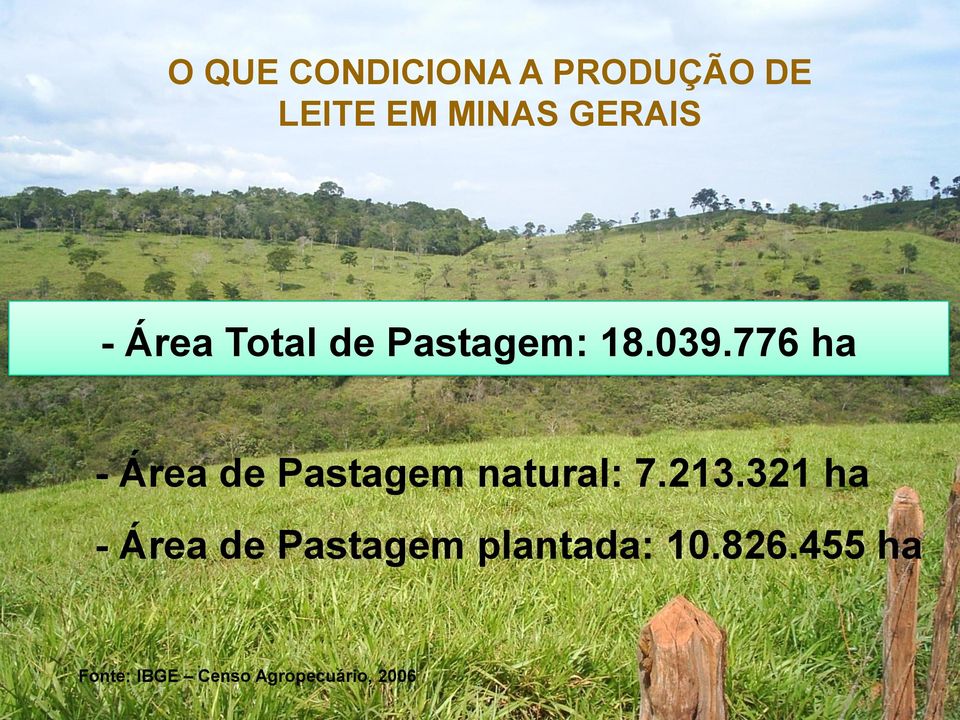 776 ha - Área de Pastagem natural: 7.213.