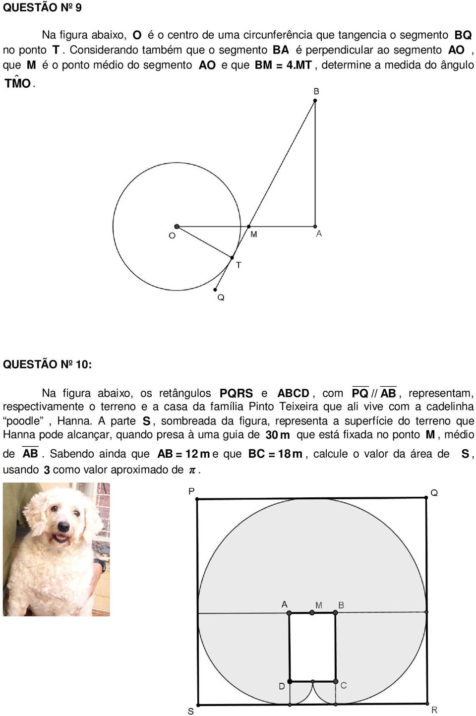 QUESTÃO Nº 10: Na figura abaixo, os retângulos PQRS e ABCD, com PQ // AB, representam, respectivamente o terreno e a casa da família Pinto Teixeira que ali vive com a cadelinha