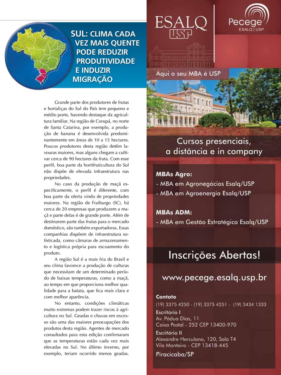 Poucos produtores desta região detêm lavouras maiores, mas alguns chegam a cultivar cerca de 90 hectares da fruta.