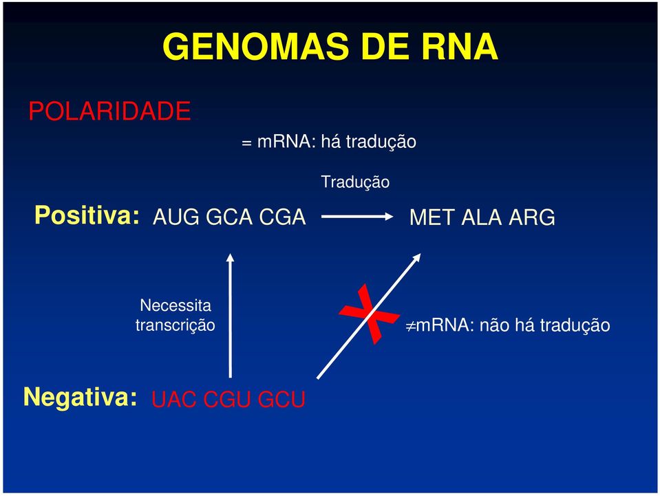 CGA MET ALA ARG Necessita transcrição