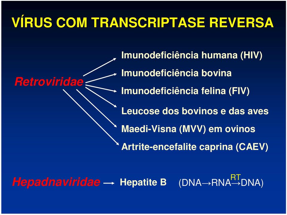 (FIV) Leucose dos bovinos e das aves Maedi-Visna (MVV) em ovinos