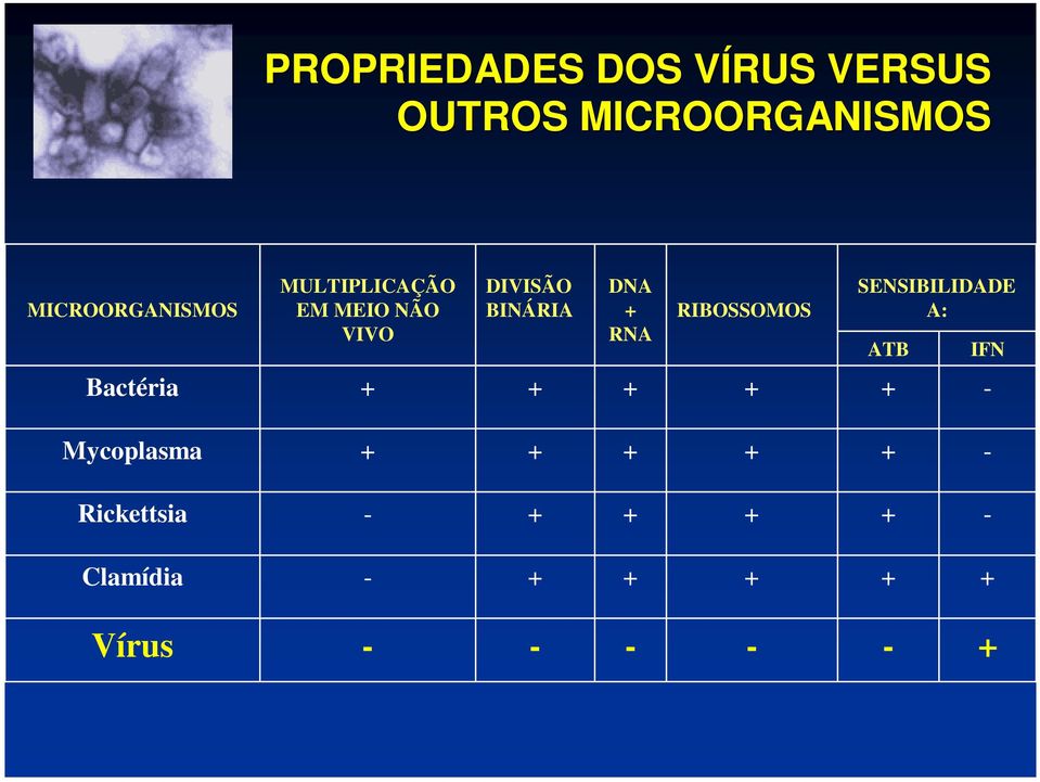 BINÁRIA DNA RNA RIBOSSOMOS SENSIBILIDADE A: ATB IFN