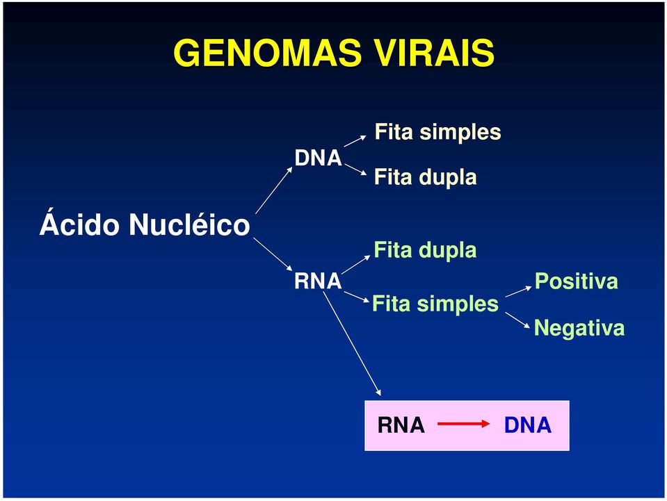 Nucléico RNA Fita dupla