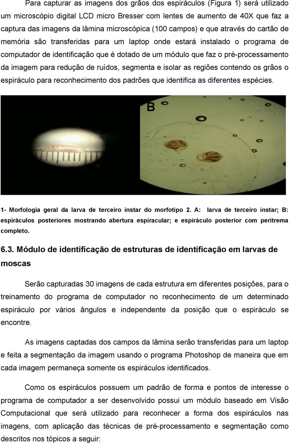 da imagem para redução de ruídos, segmenta e isolar as regiões contendo os grãos o espiráculo para reconhecimento dos padrões que identifica as diferentes espécies.