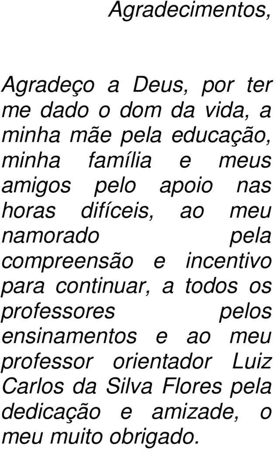 compreensão e incentivo para continuar, a todos os professores pelos ensinamentos e ao