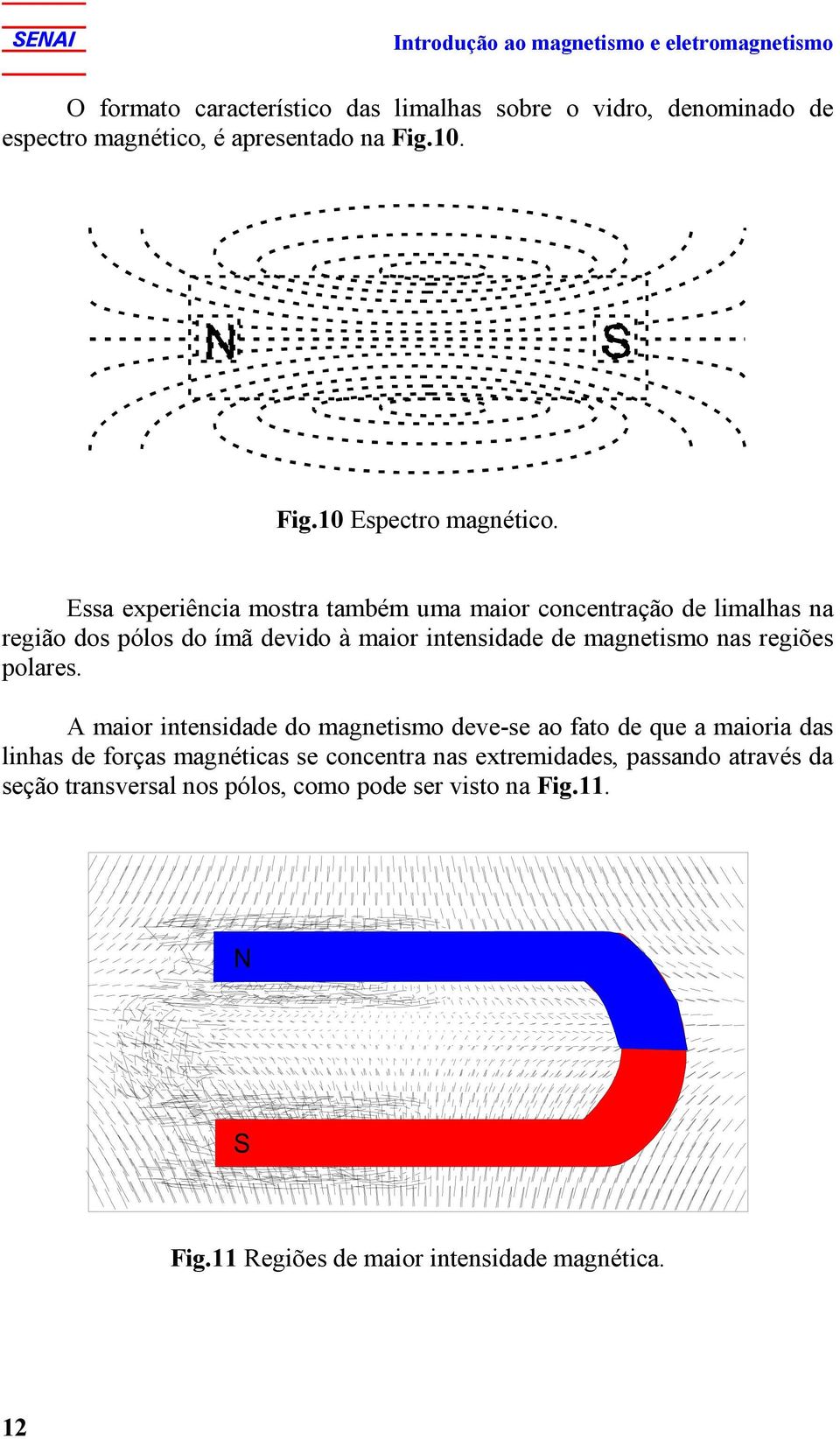 Essa experiência mostra também uma maior concentração de limalhas na região dos pólos do ímã devido à maior intensidade de magnetismo nas regiões