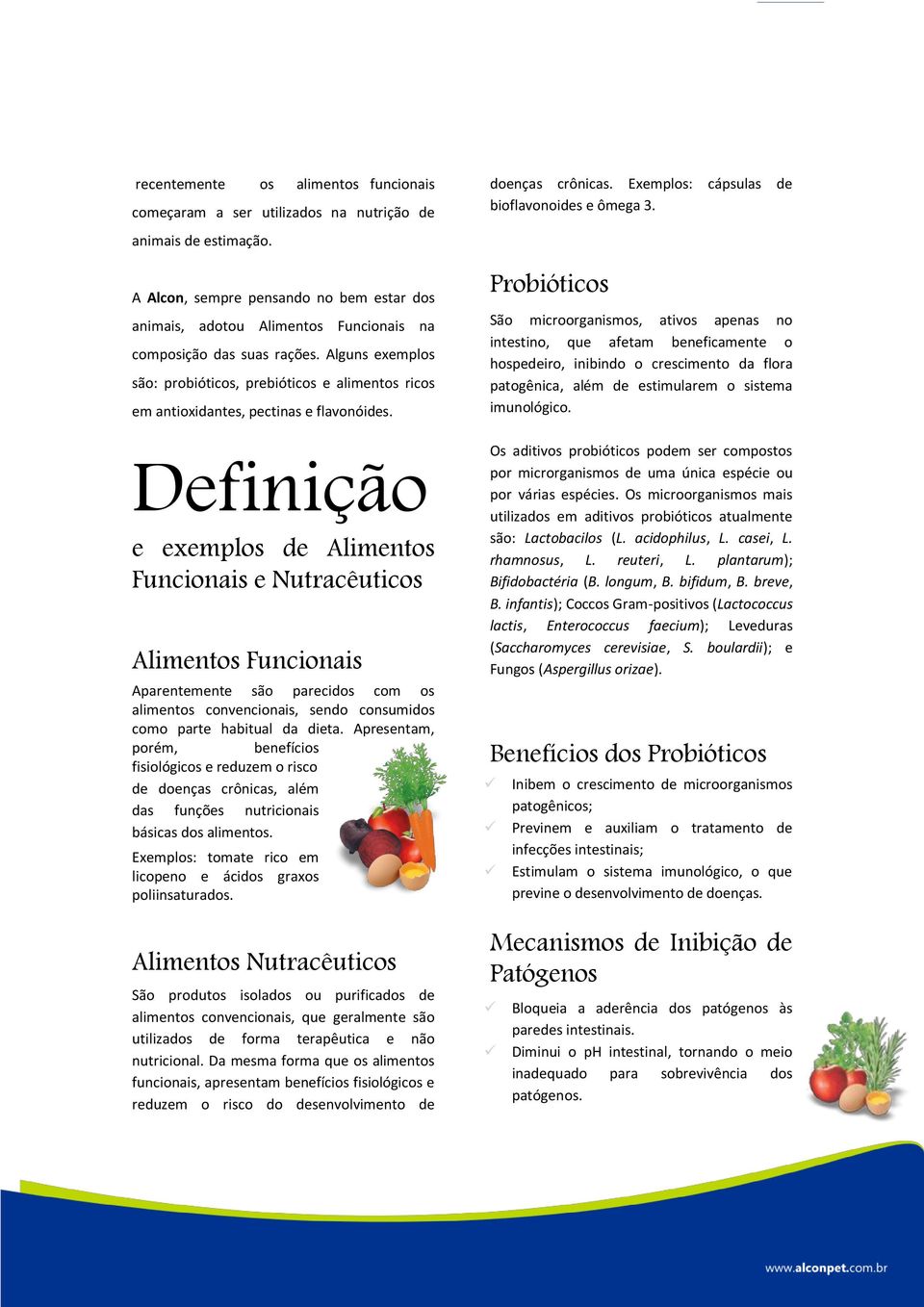 Alguns exemplos são: probióticos, prebióticos e alimentos ricos em antioxidantes, pectinas e flavonóides.