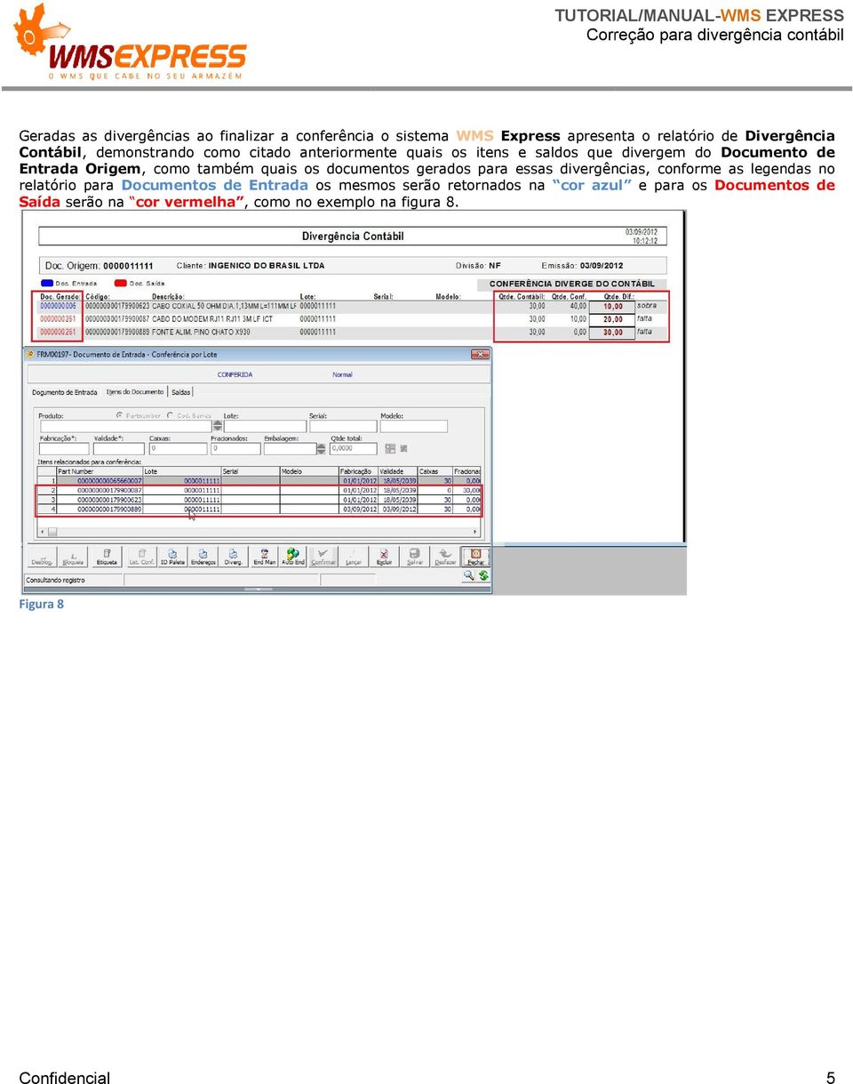 também quais os documentos gerados para essas divergências, conforme as legendas no relatório para Documentos de Entrada