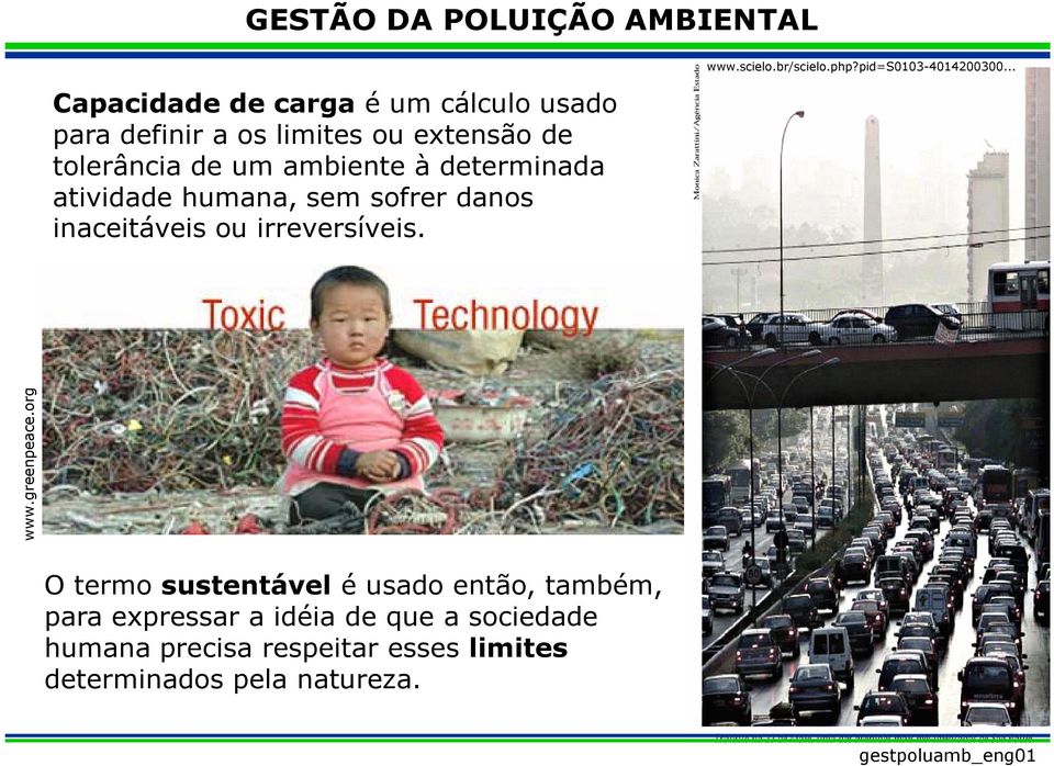 br/scielo.php?pid=s0103-4014200300... www.greenpeace.