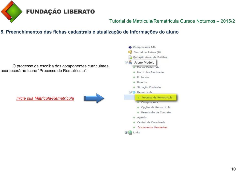 escolha dos componentes curriculares acontecerá no