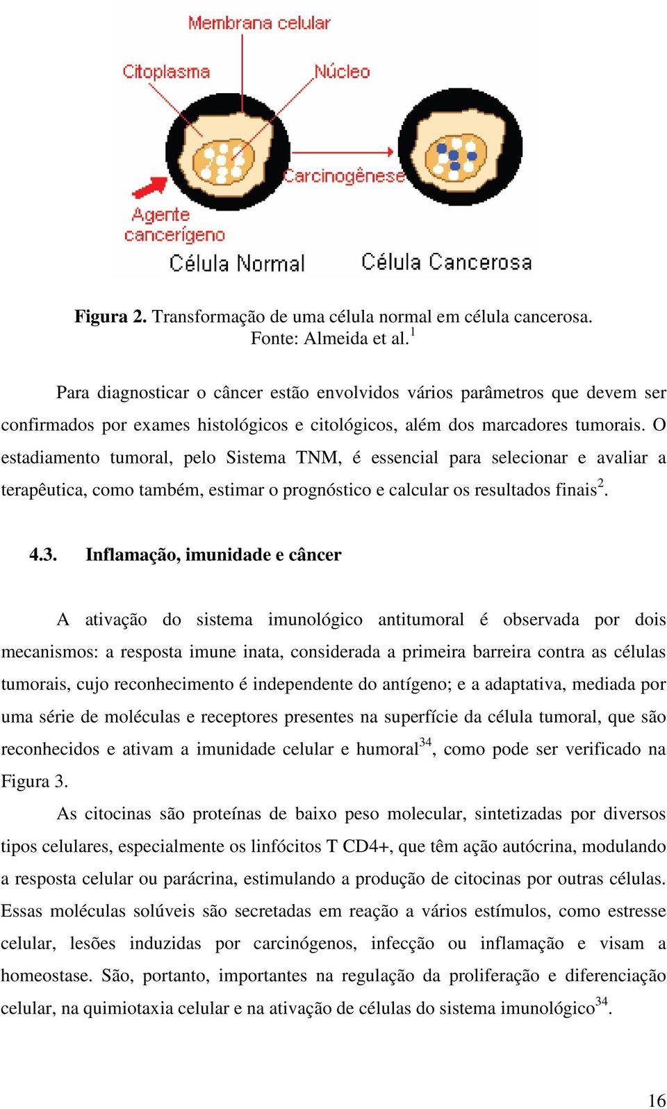 O estadiamento tumoral, pelo Sistema TNM, é essencial para selecionar e avaliar a terapêutica, como também, estimar o prognóstico e calcular os resultados finais 2. 4.3.