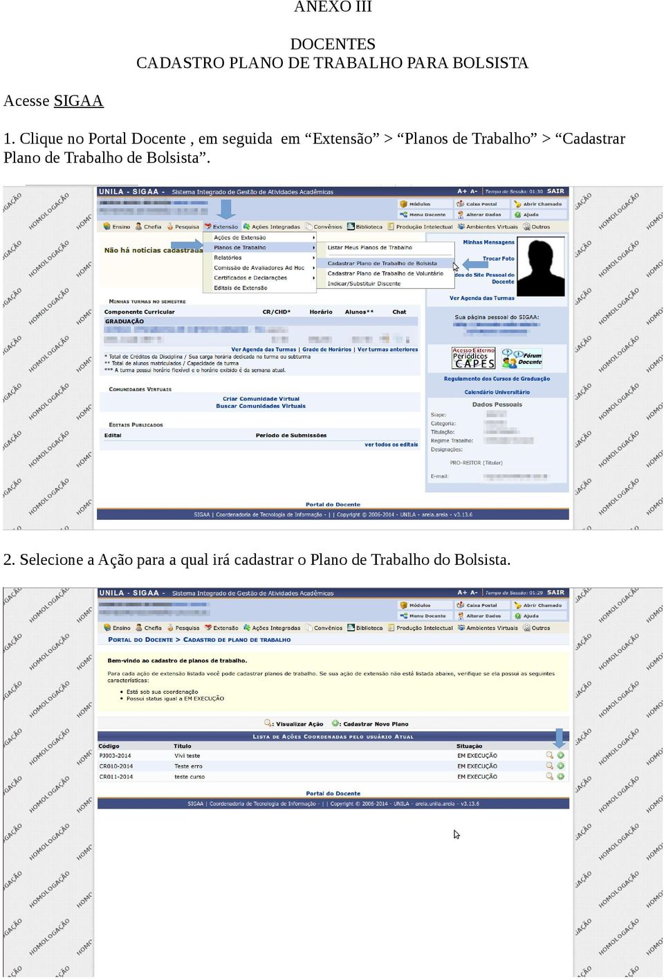 Clique no Portal Docente, em seguida em Extensão > Planos de