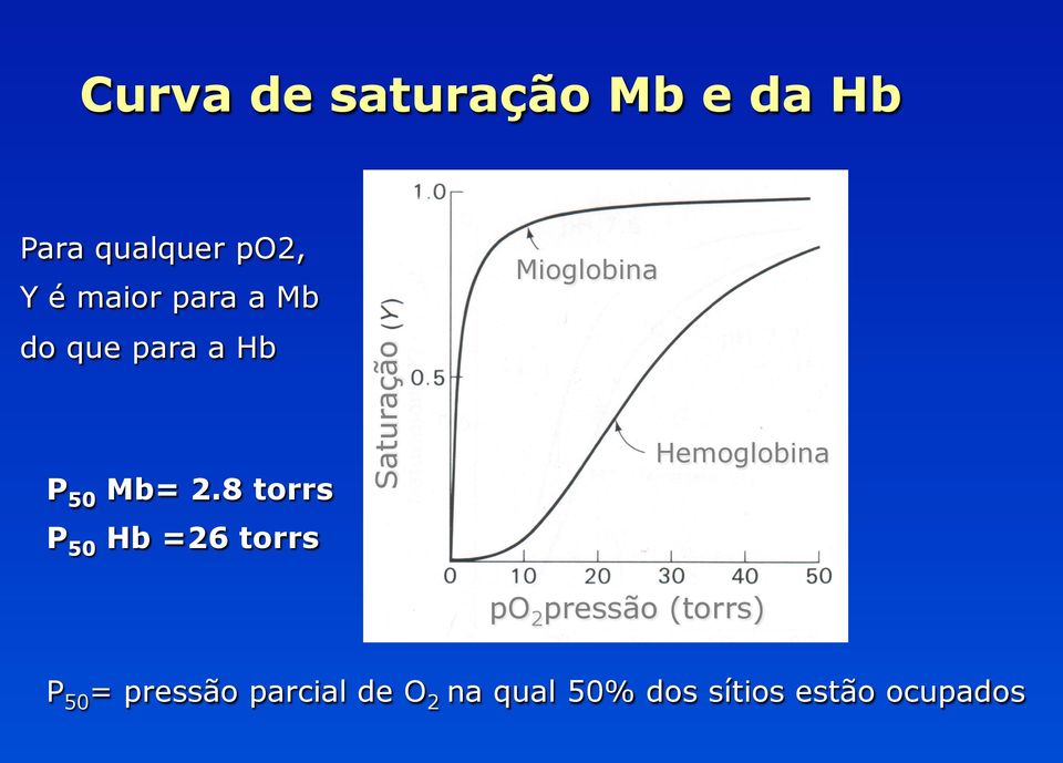 8 torrs P 50 Hb =26 torrs Saturação Mioglobina Hemoglobina