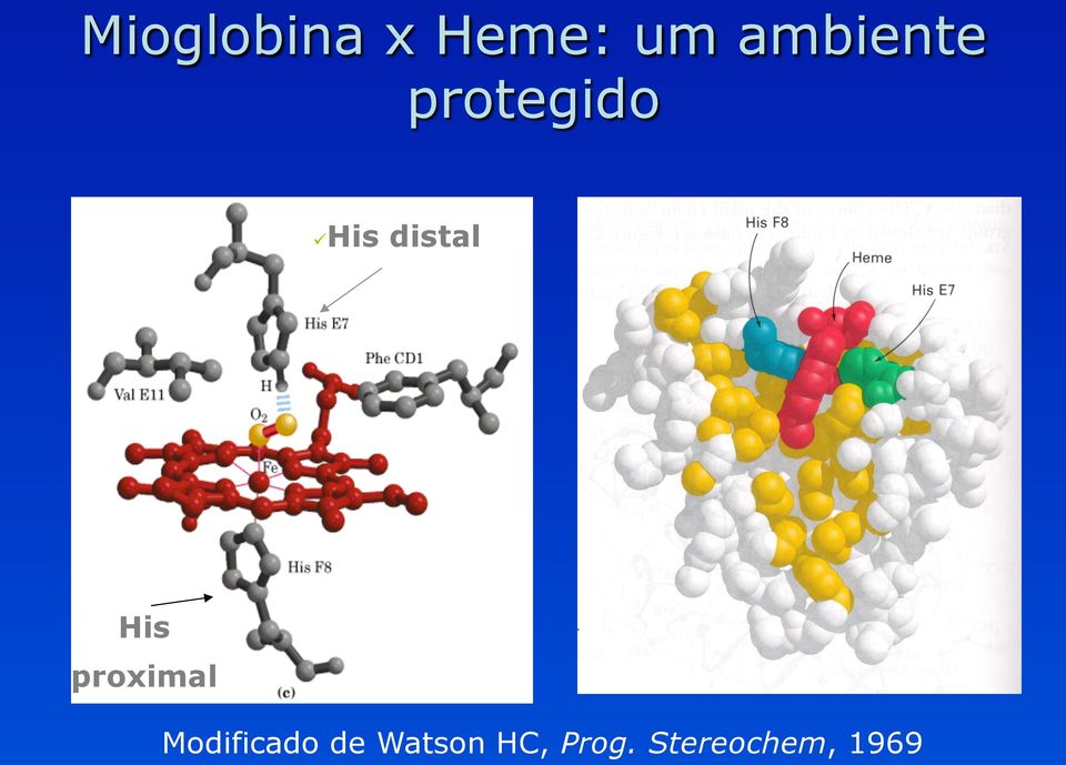 distal His proximal