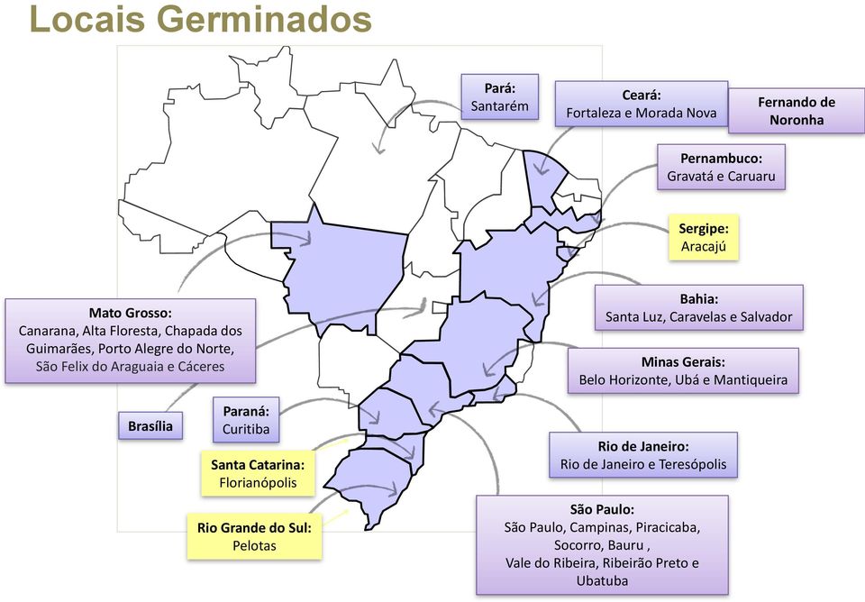 Salvador Minas Gerais: Belo Horizonte, Ubá e Mantiqueira Brasília Paraná: Curitiba Santa Catarina: Florianópolis Rio Grande do Sul: Pelotas