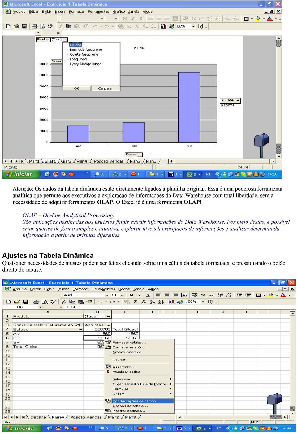 O Excel já é uma ferramenta OLAP! OLAP On-line Analytical Processing. São aplicações destinadas aos usuários finais extrair informações do Data Warehouse.