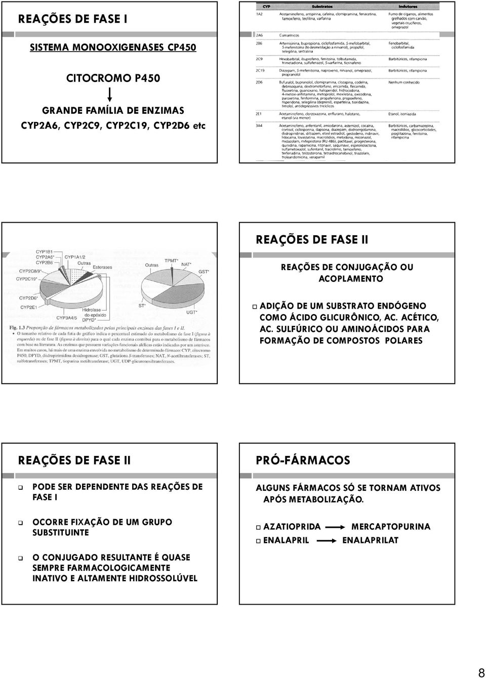 SULFÚRICO OU AMINOÁCIDOS PARA FORMAÇÃO DE COMPOSTOS POLARES REAÇÕES DE FASE II PRÓ-FÁRMACOS PODE SER DEPENDENTE DAS REAÇÕES DE FASE I ALGUNS FÁRMACOS SÓ SE