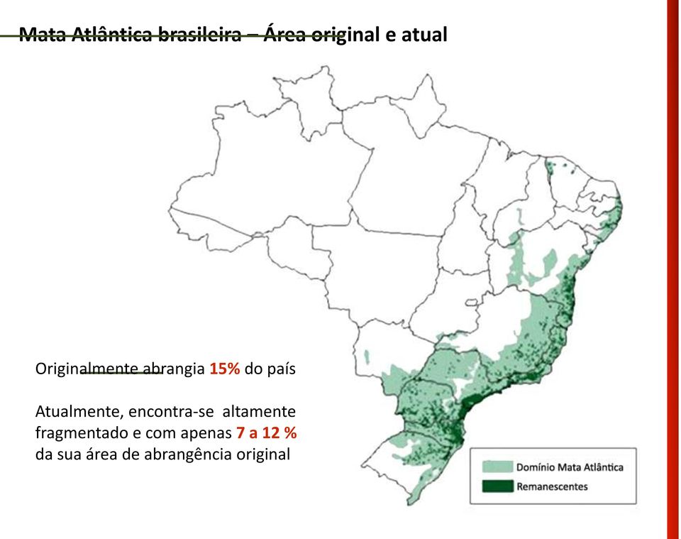 Atualmente, encontra-se altamente fragmentado