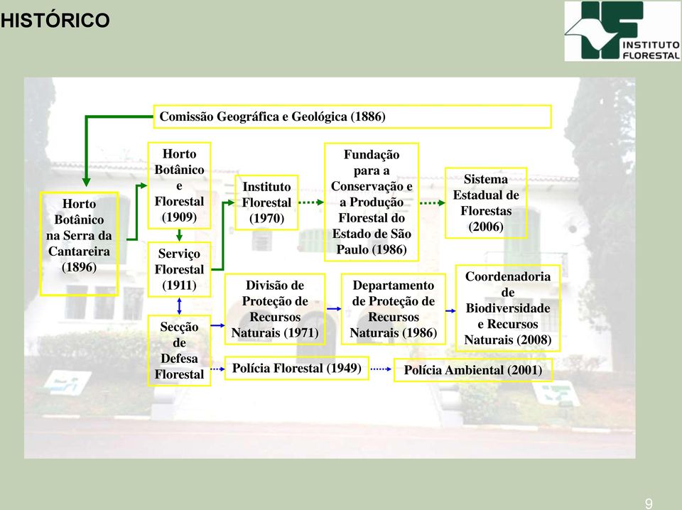 Polícia Florestal (1949) Fundação para a Conservação e a Produção Florestal do Estado de São Paulo (1986) Departamento de Proteção de