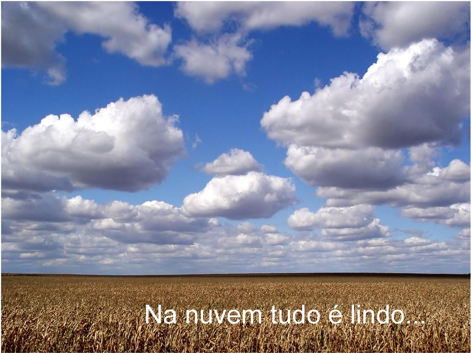 tudo é