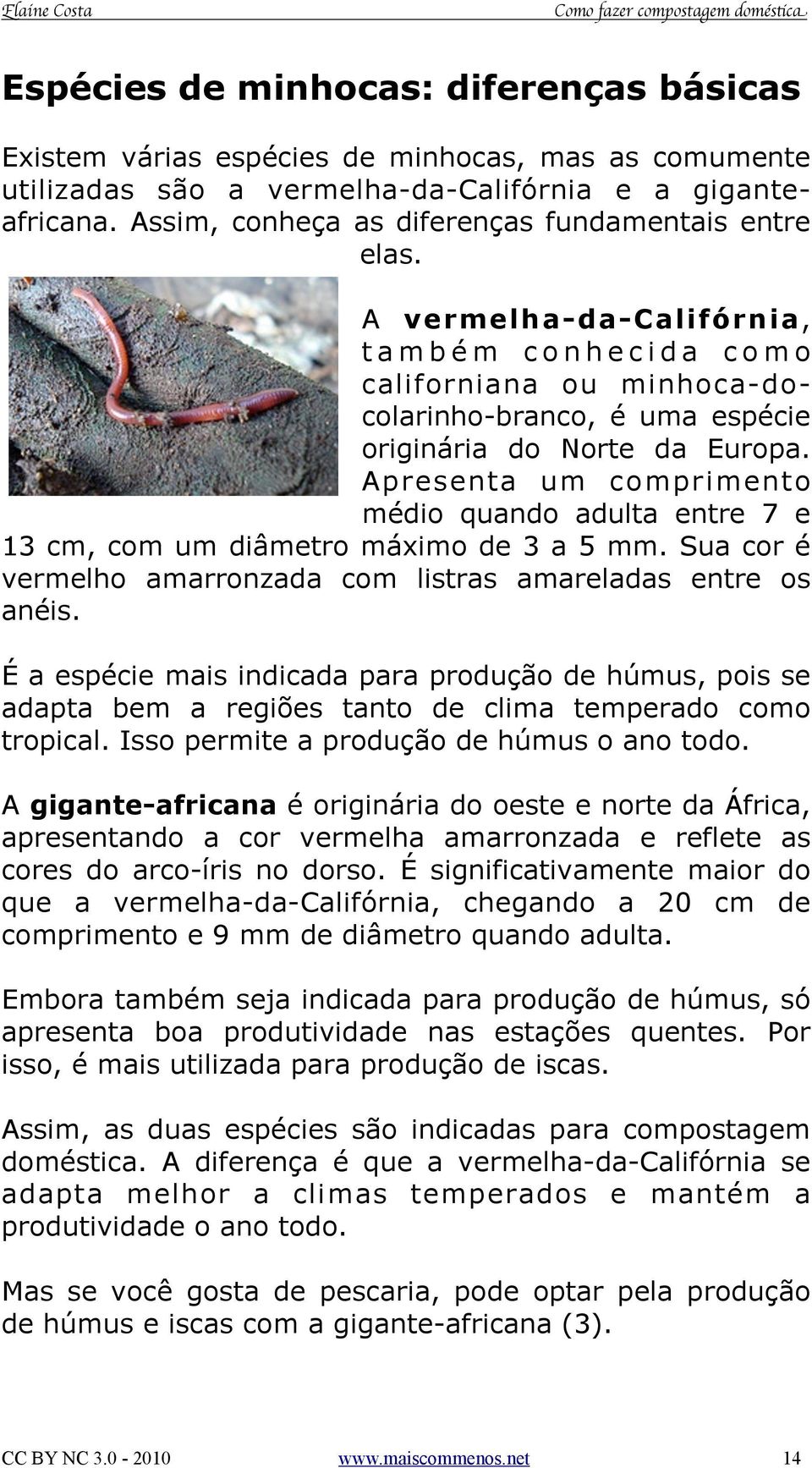 Apresenta um comprimento médio quando adulta entre 7 e 13 cm, com um diâmetro máximo de 3 a 5 mm. Sua cor é vermelho amarronzada com listras amareladas entre os anéis.