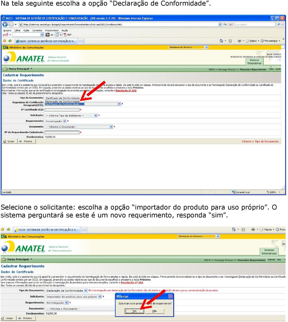 Selecione o solicitante: escolha a opção importador